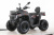 Взрослый квадроцикл MOTAX GRIZLIK T250 BASIC