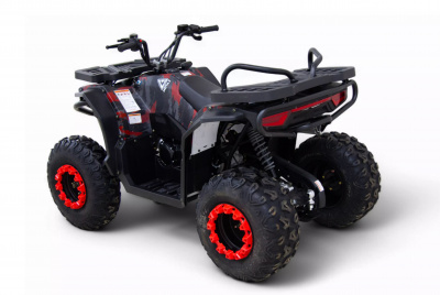 Квадроцикл MOTAX GRIZLIK Y300 2026 New