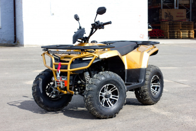 Квадроцикл IRBIS ATV200 New с ПСМ