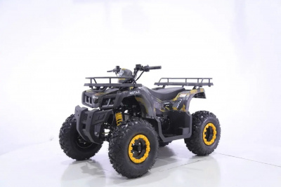 Квадроцикл MOTAX GRIZLIK T200 2026 New