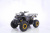 Квадроцикл MOTAX GRIZLIK T200 2026 New