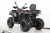 Взрослый квадроцикл MOTAX GRIZLIK T250 BASIC