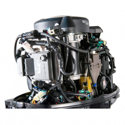 Лодочный мотор Parsun F100FEL-T-EFI (:Наклейки 80, 85 в подарок:)