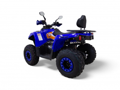 Квадроцикл MOTAX Grizlik 200 Ultra 2026 New