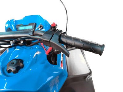 Снегоход утилитарный IRBIS SK600 GEN1