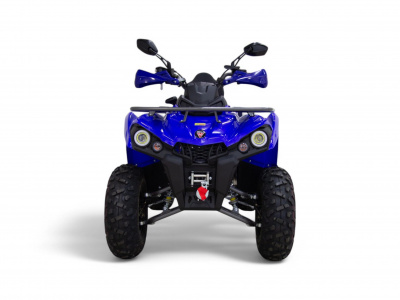 Квадроцикл MOTAX Grizlik 200 Ultra 2026 New