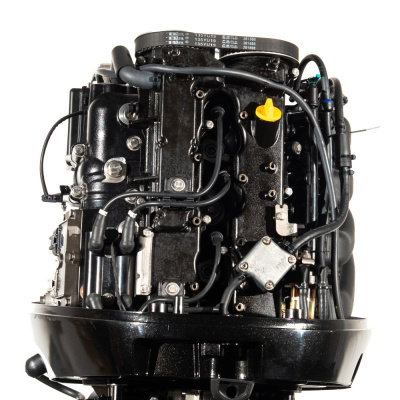 Лодочный мотор Parsun F100FEL-T-EFI (:Наклейки 80, 85 в подарок:)