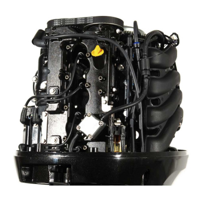 Лодочный мотор PARSUN F115FEL-T EFI