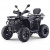 Квадроцикл MOTAX GRIZLIK W200 LUX 2026 New Квадроцикл MOTAX GRIZLIK W200 LUX 2026 New
